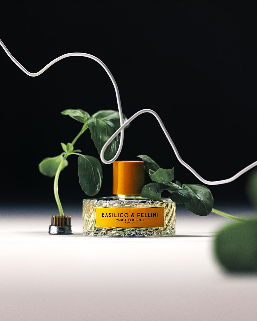 BASILICO & FELLINI