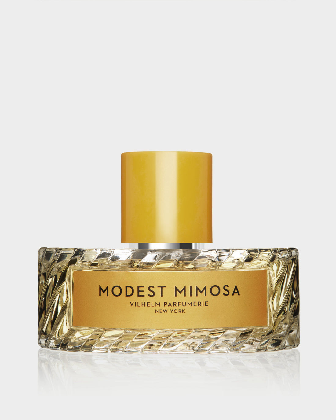 MODEST MIMOSA